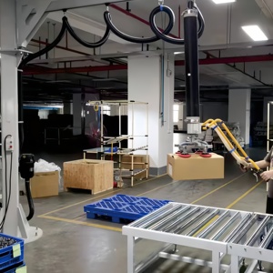 बैग और बॉक्स उठाने और चलने के लिए नए वैक्यूम लिफ्टर प्रमाणित - Product Image 2