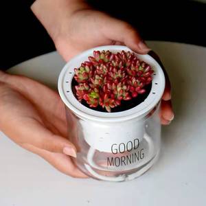 Hot Selling plastic flower plastic flower bonsai pot garden decoration
