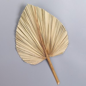 Bất tự nhiên khô lá cọ Spears mộc mạc trang trí đám cưới Hoa khô khô Lá Cọ cho hoa sắp xếp - Product Image 2