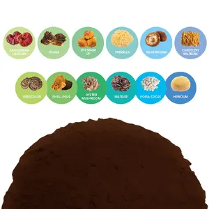 Private Label Top Quality Herbal Mushroom Extract Powder - USDA Organic - Lions Mane Reishi Cordyceps Chaga Turkey Tail