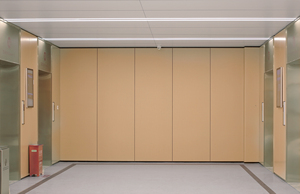 Thiết kế hiện đại nhôm Veneer Panel tường nhà máy-Giá kim loại tường ốp hệ thống cho phòng tập thể dục không thấm nước chống cháy thiết kế đồ họa - Product Image 5