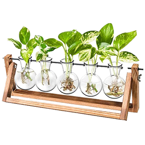 New Retro-Style Planting Hydroponicswith Wooden Stand Air Planter Bulb Vase Home <b>Garden</b> Desktop Propagation Station Used Bonsai - Product Image 1