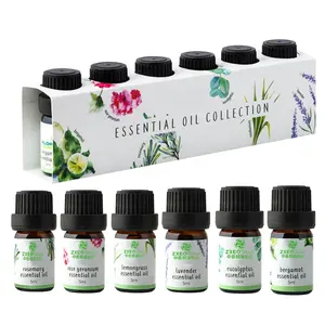 Wholesale Price Sample 6 Bottles Set Perfume Fragrance Oil For Diffuser Massage Essential Oil New