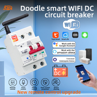 Disjoncteur DC WiFi Tuya Smart 1P 10V-100V, Télécommande Sans Fil avec Alexa, Google Assistant, Yandex Alice pour Maison Intelligente