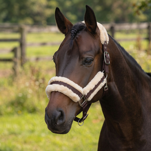 Cabestro para Caballo de Piel de Oveja Marrón con Diseño Acolchado y Herrajes Metálicos - Product Image 3
