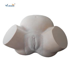 Modèle de formation avancée simulée de sage-femme pour les étudiants en médecine dans l'enseignement hospitalier - Product Image 3