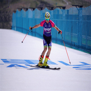 Tapis <span class=keywords><strong>de</strong></span> <span class=keywords><strong>ski</strong></span> artificiel économique à aiguilles pour piste <span class=keywords><strong>de</strong></span> <span class=keywords><strong>ski</strong></span> sèche mobile, pour parc <span class=keywords><strong>de</strong></span> freestyle technique extérieur - Product Image 4