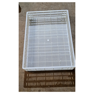 Entrega Rápida, Rollo de Piso de Plástico para Aves de Corral, Piso de Plástico para Patos, Pisos de Plástico para Aves de Corral, Hecho en Vietnam - Product Image 4