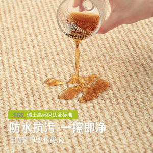 Protecteurs de tapis imperméables antiques résistants à la saleté pour salon chambre à coucher protecteurs de tapis sans entretien - Product Image 3