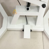 Table de toilettage pour chiens EUR PET, portable, en acier et caoutchouc, avec éclairage, sur mesure, avec élévateur hydraulique pour animaux de compagnie