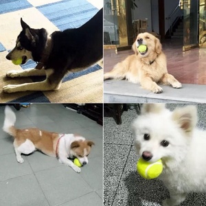小型犬用の2インチ犬トレーニングテニスボールを遊ぶペット用ミニテニスボール - Product Image 5