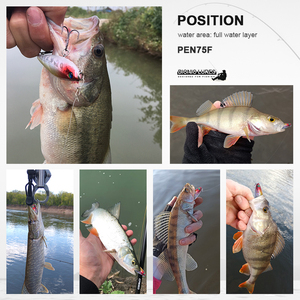 PEN75F Vente en gros de leurres de pêche en eau douce en plastique ABS - Product Image 5