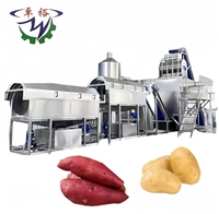 Grote Capaciteit Stoompeeling Hydro Snijden Bevroren Frietjes Machine Aardappelchips Productie En Verwerkingslijn