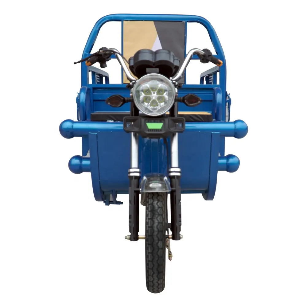 3PLUSCOCO C06 ağır taşıma yükü 3 tekerlekler elektrikli üç tekerlekli bisiklet kargo 1000W 60V 35 km/s kargo motosiklet