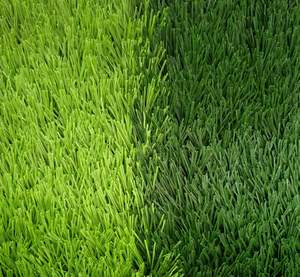 Gazon artificiel de sport 50MM <span class=keywords><strong>7000D</strong></span> pour le football, durable, écologique, pour salle de sport, anti-âge - Product Image 2