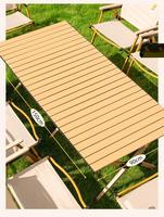 Table de camping pliante en métal portable, mobilier d'extérieur léger pour la cuisine, la plage, le salon, la chambre, la salle de sport