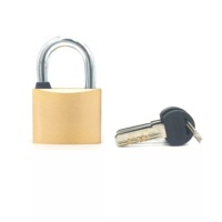 Cadenas en laiton de qualité Samhoo, taille mini, vente en gros Chine, logo personnalisé, marque privée avec 3 clés, antivol, couleur personnalisée