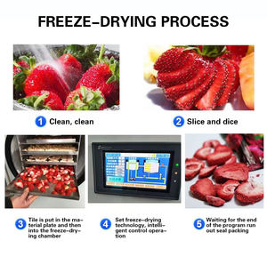 Machine de lyophilisation TCA XINDAXIN de haute qualité, petits congélateurs de lyophilisation, machine de lyophilisation de bonbons - Product Image 5