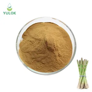 Factory Supply High Quality Natural Food Grade Multipurpose Asparagus Extract Powder
