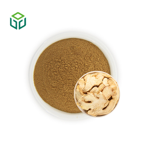 Profesyonel Fabrika Doğal Bitkisel Takviye Gıda Sınıfı 10:1 20:1 Kurutulmuş Zencefil Ekstresi Tozu Şişe/Tambur Ambalajında - Product Image 1