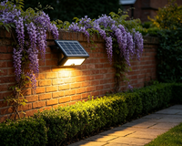 Lámpara Solar LED de Pared con Certificación CE, RoHS y Reach, Patentada, Impermeable IP65, para Uso Doméstico y Comercial