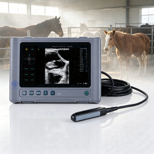 Escáner de Ultrasonido Veterinario Portátil para Animales a <span class=keywords><strong>Precio</strong></span> Económico - Product Image 1