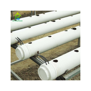 Container Hạt Giống Rau Diếp Thủy Canh Với Cup Net - Product Image 1