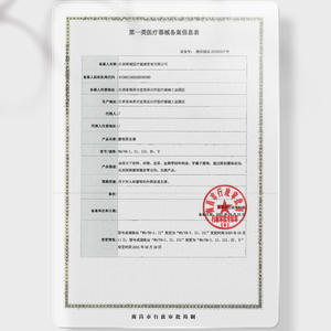 Soporte Lumbar Magnético Wellday WD/YB-V con 10 Imanes y Correas Ajustables para Corrección de Columna y Alivio del Dolor - Product Image 4