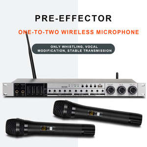 OEM-procesador de Audio Digital REV3800, prereceptor KTV con dos micrófonos, para fiesta en casa, boda y <span class=keywords><strong>Karaoke</strong></span>, gran oferta - Product Image 6