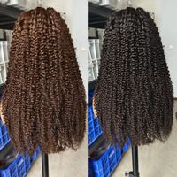 Peluca de Cabello Humano Rizado con Frente de Encaje Transparente HD 13x6, Densidad 250%, Pre-Desplumada, Sin Pegamento, Estilo Kinky Curly