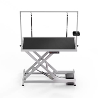 Table de toilettage pour animaux de compagnie à levage électrique de haute qualité Table de toilettage professionnelle pour chiens