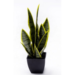 Plantas de imitación falsas con maceta de plástico negro, planta de serpiente Artificial, para el hogar <span class=keywords><strong>Sansevieria</strong></span>, oficina, decoración interior y exterior - Product Image 6