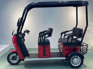 Triciclo de Tres Ruedas de 650W para Adultos con Techo - Product Image 3