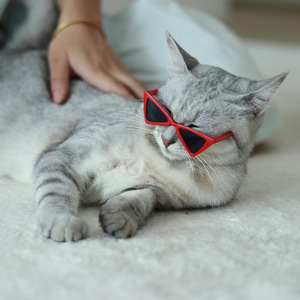 Gafas de sol para mascotas, gafas para gatos, diseño triangular, rojo, negro, talla única, para perros pequeños y gatos, patrón geométrico de resina - Product Image 1