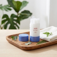 Kit de Voyage pour Cosmétiques : Bouteilles Portables de Gel Hydroalcoolique, Sachets de Recharge pour Soins de la Peau et Emballages