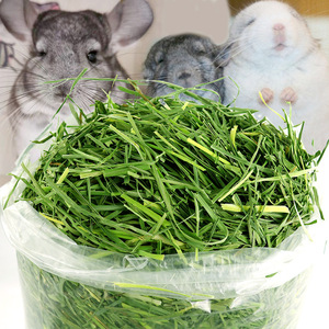 Heno de Timothy Seco 2026, Heno de Centeno, Heno de Avena, Heno para Conejos, Pasto de Timothy Cortado para Chinchillas, Cobayas y Porcinos - Product Image 3