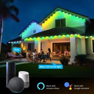Lampu sorot Led atap luar ruangan 30m, nilai Ip67 untuk penggunaan gudang untuk piksel dapat disesuaikan Alexa Google Home Assistant aplikasi - Product Image 4