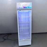 Réfrigérateur de vitrine commercial sur mesure de 500 L, réfrigérateur à bière, porte en verre, refroidisseur de boissons énergisantes