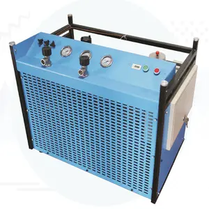 Compresor de aire portátil para buceo, compresor para bucear, usado