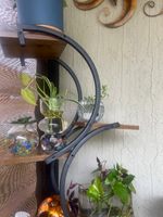 Support de plantes d'intérieur moderne en bois, couleur café foncé, écologique, de haute qualité, avec revêtement en poudre, pour la vente en gros