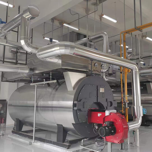 <span class=keywords><strong>Prix</strong></span> bas WNS 1.5 tonnes chaudière à vapeur gaz combustible à l'alimentation chauffage grande usine alimentaire - Product Image 6