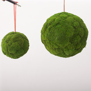 Installation artistique suspendue en bambou avec boules <span class=keywords><strong>de</strong></span> mousse éternelle, décoration végétale sphérique pour intérieur, idéale pour les centres commerciaux et l'aménagement paysager - Product Image 5