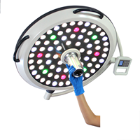 Lampe d'opération vétérinaire à LED de plafond homologuée CE, système de caméra, lampe de salle d'opération, fabricant de lampes chirurgicales à LED
