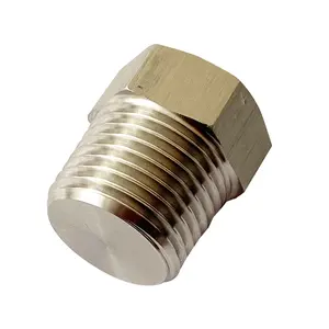 Instrumentation 304 316 Stainless Steel Pipe Fittings 1/4 3/8 1/2 1 inch NPT BSPT Male Threaded Hex Head Pipe Plug