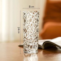 Grand vase en verre épaissi créatif, vase hydroponique minimaliste moderne pour la maison