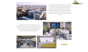 Source Factory Private Brand OEM ODM Friendly Lavender <strong>Liquid</strong> <strong>Detergent</strong> Rinsing Superior Quality Fragrance <strong>Liquid</strong> <strong>Detergent</strong> - Product Image 6