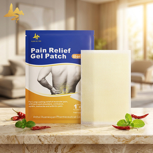 Parche de Gel Térmico OEM/ODM para Alivio del Dolor, Certificado CE, Parche de Hidrogel Térmico Avanzado para Dolor Muscular, Suministro al por Mayor - Product Image 1