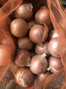 Verse Premium Kwaliteit Nieuwe Oogst Gele Uien 8-11cm Mesh Zak Niet-Geschild Vacuümverpakking Groothandel - Product Image 6