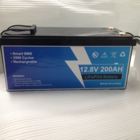 Batterie LiFePO4 de stockage d'énergie 12.8V200AH Batterie d'alimentation portable pour l'extérieur avec une grande capacité et une coque en ABS noir