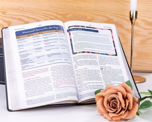Impresión <span class=keywords><strong>de</strong></span> Biblias OEM, Fabricante Profesional, Venta al por Mayor <span class=keywords><strong>de</strong></span> Biblias, <span class=keywords><strong>Biblia</strong></span> Reina Valera 1960 en Español, Diario Bíblico - Product Image 2